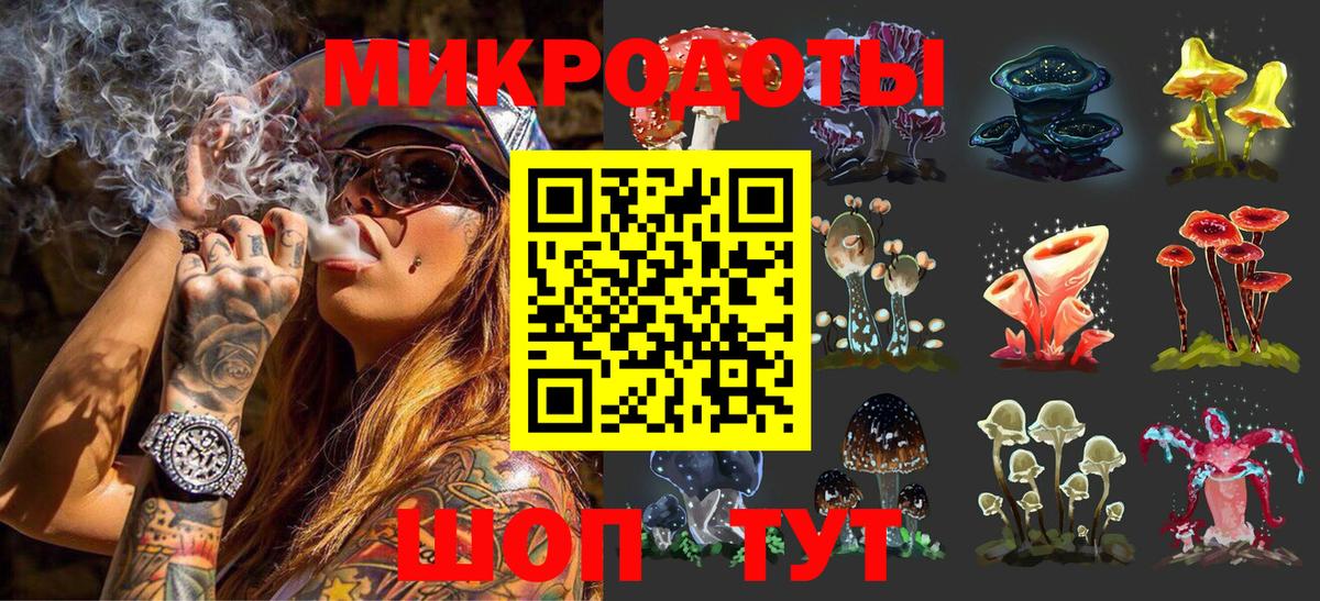 Псилоцибиновые грибы Psilocybe Аша